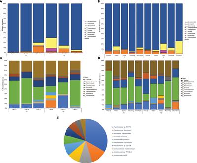 Shotgun-metagenomics reveals a highly diverse and communal microbial network present in the drains of three beef-processing plants